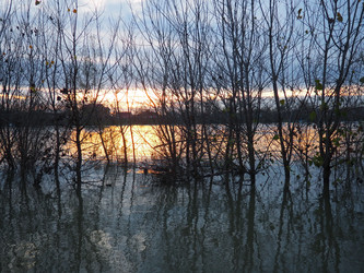 Similar image 21769234