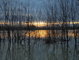 Similar image 21769236