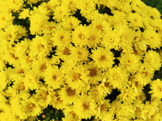 Similar image 21769238