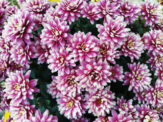 Similar image 21769241