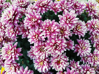 Similar image 21769242