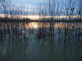 Similar image 21769253