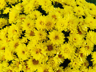 Similar image 21769255