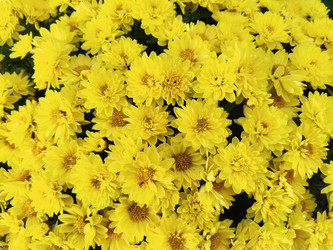 Similar image 21769256