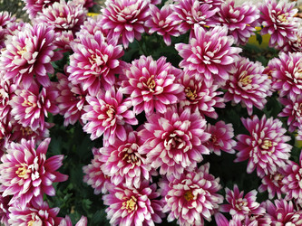 Similar image 21769257