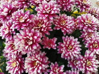 Similar image 21769258