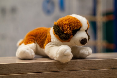 Similar image 21768911