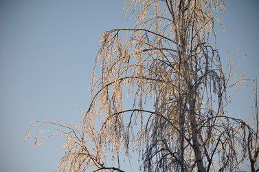 Similar image 21769089