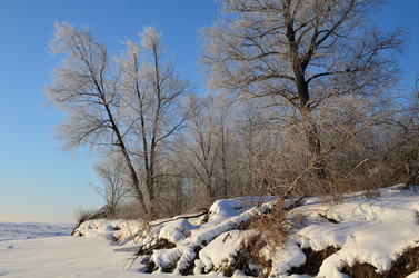 Similar image 21769091