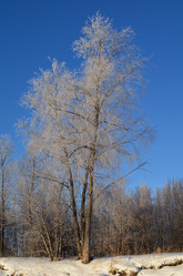 Similar image 21769093