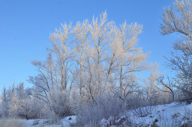 Similar image 21769095