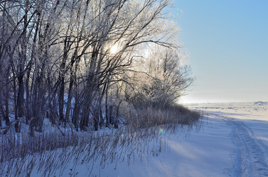 Similar image 21769097