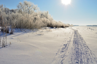 Similar image 21769098