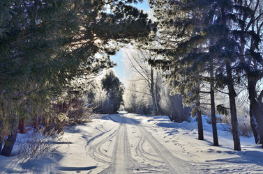 Similar image 21769099