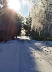 Similar image 21769100