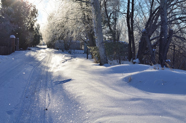 Similar image 21769101