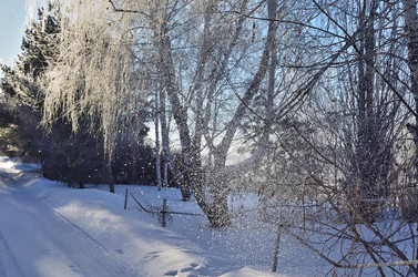 Similar image 21769102