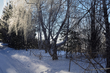 Similar image 21769104