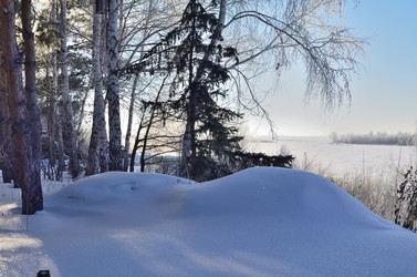 Similar image 21769105