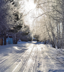 Similar image 21769106