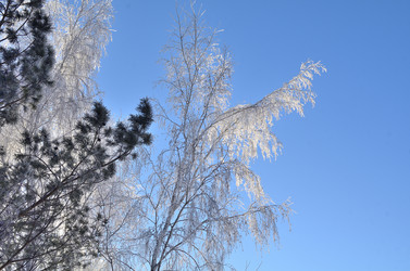 Similar image 21769107