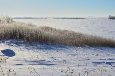 Similar image 21769110