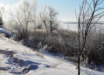 Similar image 21769111