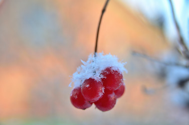 Similar image 21769112