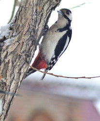 Similar image 21769114