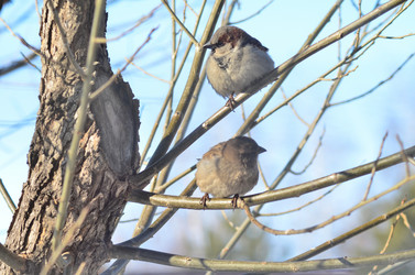 Similar image 21769118