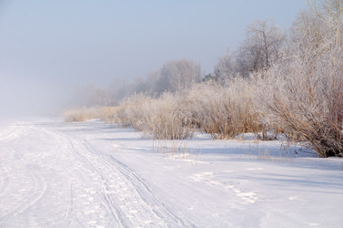 Similar image 21769120