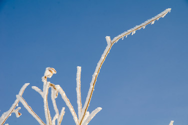 Similar image 21769121