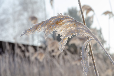 Similar image 21769122