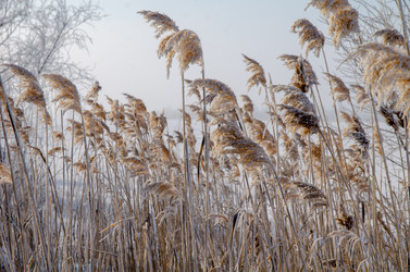 Similar image 21769124