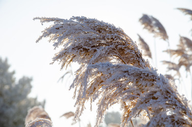 Similar image 21769125