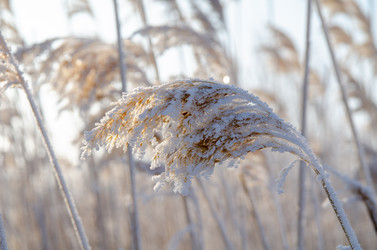 Similar image 21769126