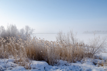 Similar image 21769127