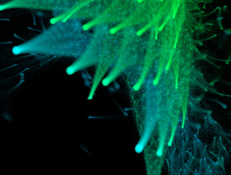 Similar image 21773488