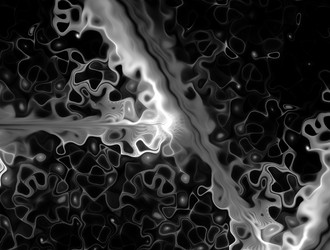 Similar image 21773499