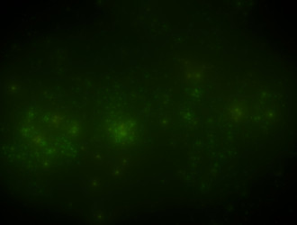 Similar image 21773523