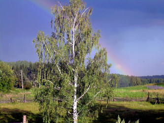 Similar image 21769283