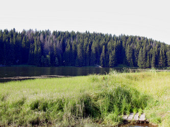 Similar image 21769284