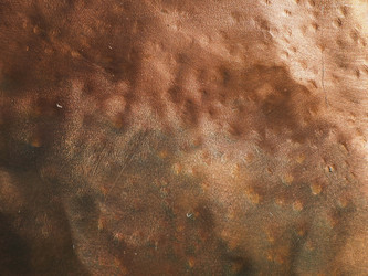 Similar image 21769293