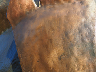 Similar image 21769296