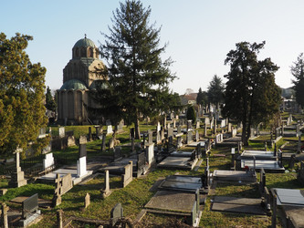 Similar image 21769302