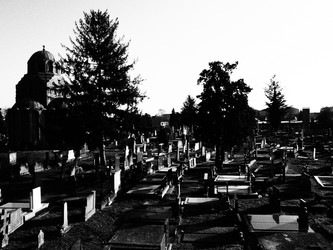 Similar image 21769304