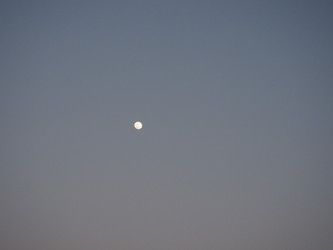 Similar image 21769311