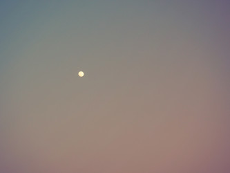 Similar image 21769312