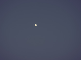 Similar image 21769313