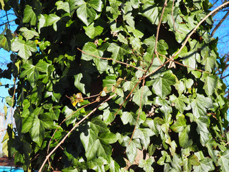 Similar image 21769327